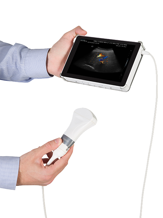 InVisus Product Information