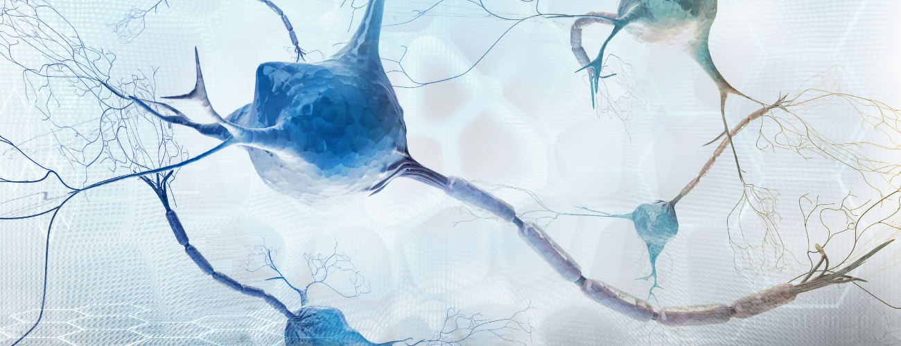 Harnessing the power of neuromuscular ultrasound in EMG