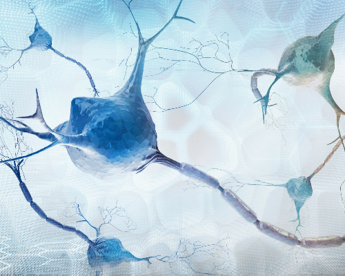 Harnessing the power of neuromuscular ultrasound in EMG